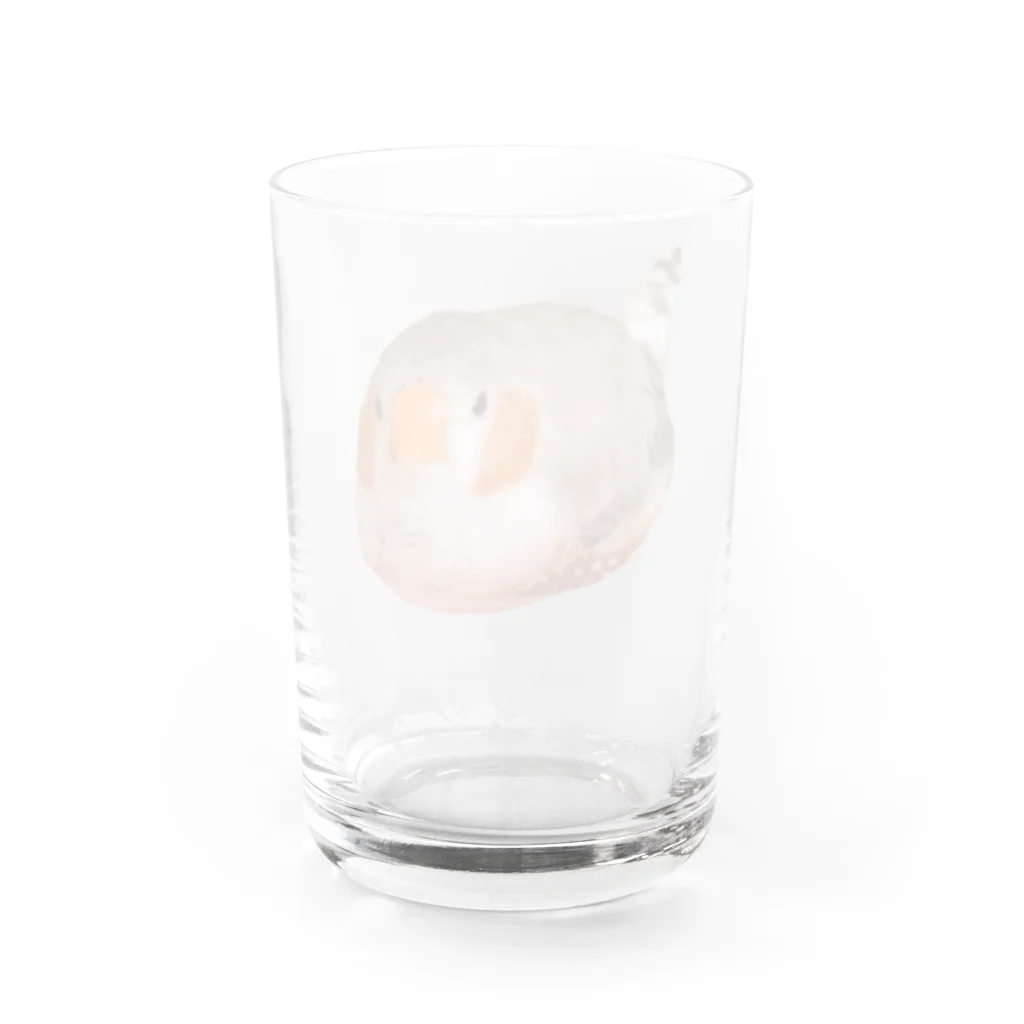 きんちゃんグッズのまんまるきんちゃん Water Glass :back