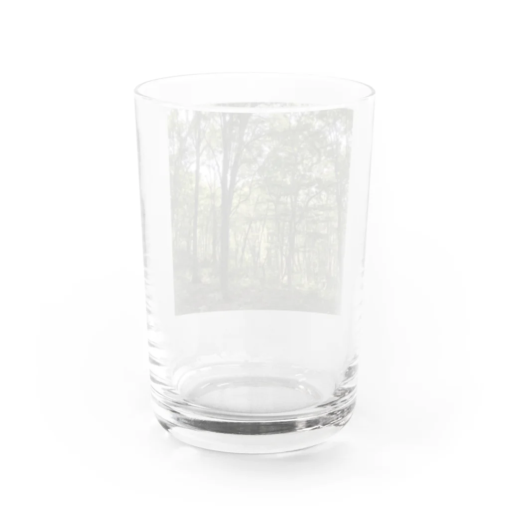 Nickel13の森 Water Glass :back