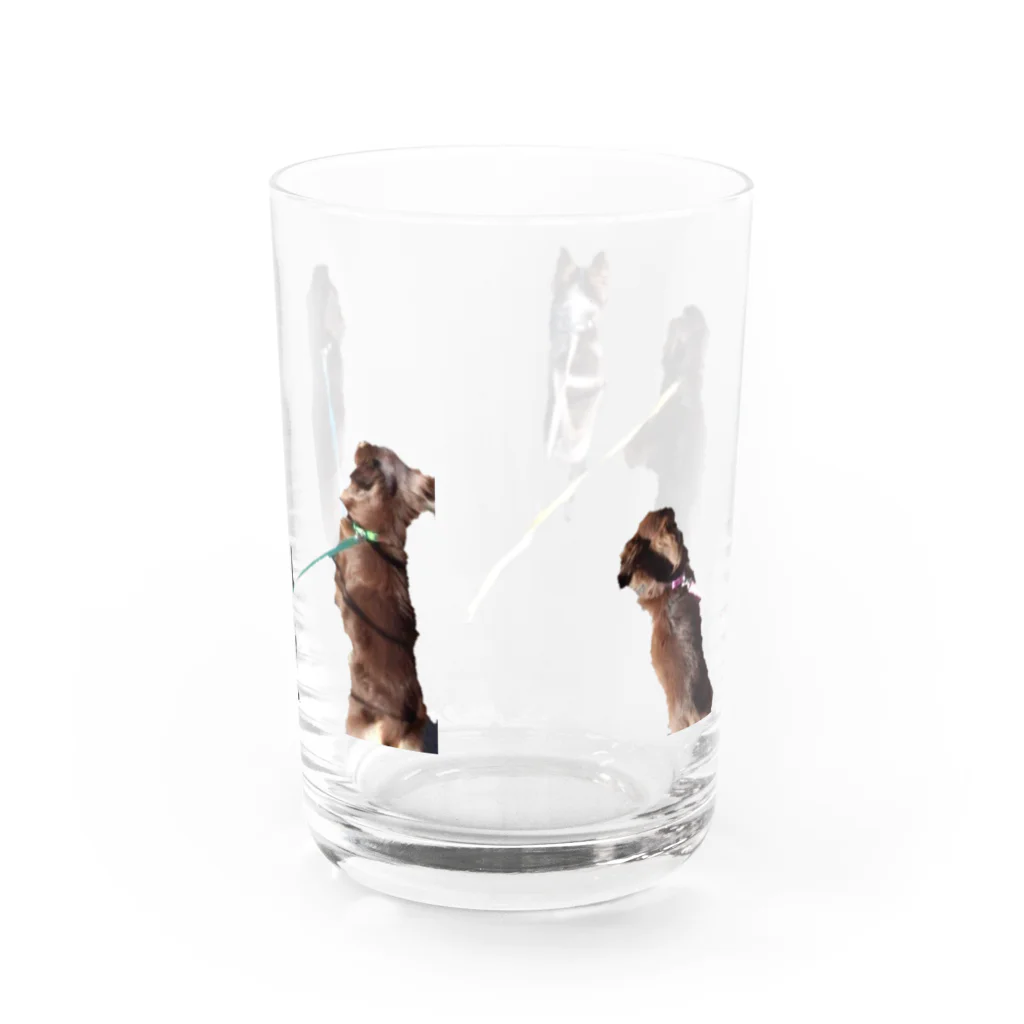 AiSs（ｱｲｺ）の５犬 ５Ｋ グラス反対面