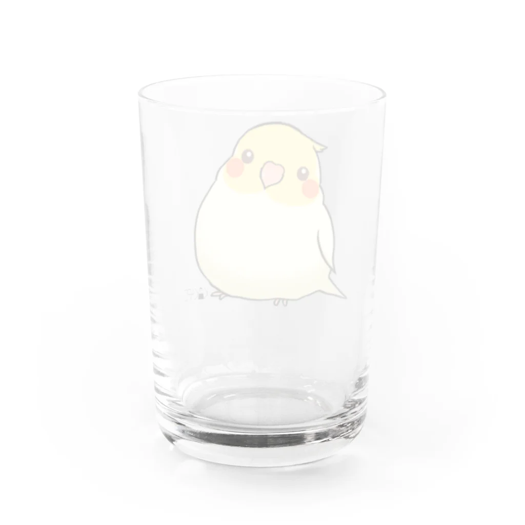 *KAKAPO*の*KAKAPO*のふんわりオカメインコちゃん(るちの) Water Glass :back