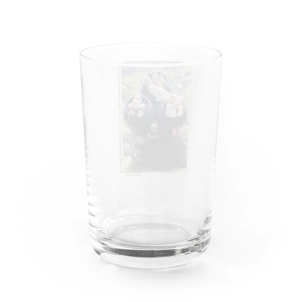 pagmaの水族館の思い出 ver.1 Water Glass :back