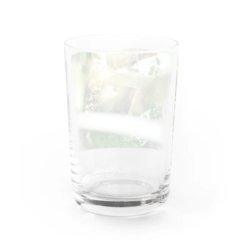 CITY9995の夏休みの散歩中 Water Glass :back