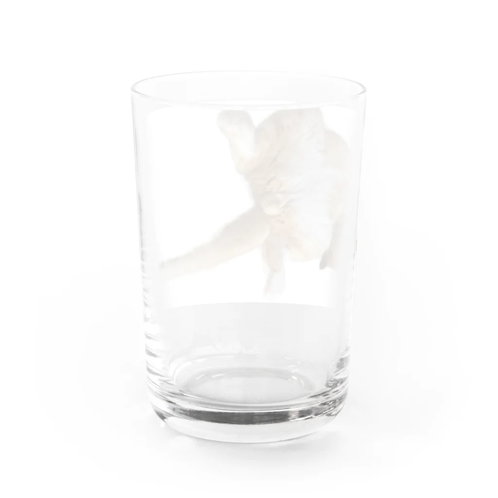 みかんとかぼすのかぼすくつろぎ Water Glass :back