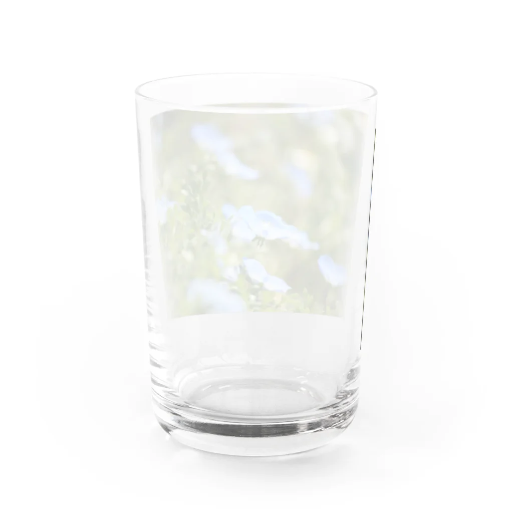 MAI maiのｱｵｲﾊﾅ Water Glass :back