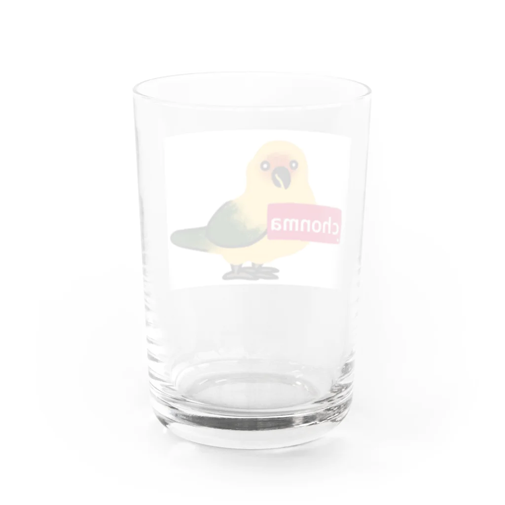 コガネメキシコ　ちょんまさん　chonmaのChonma  Water Glass :back