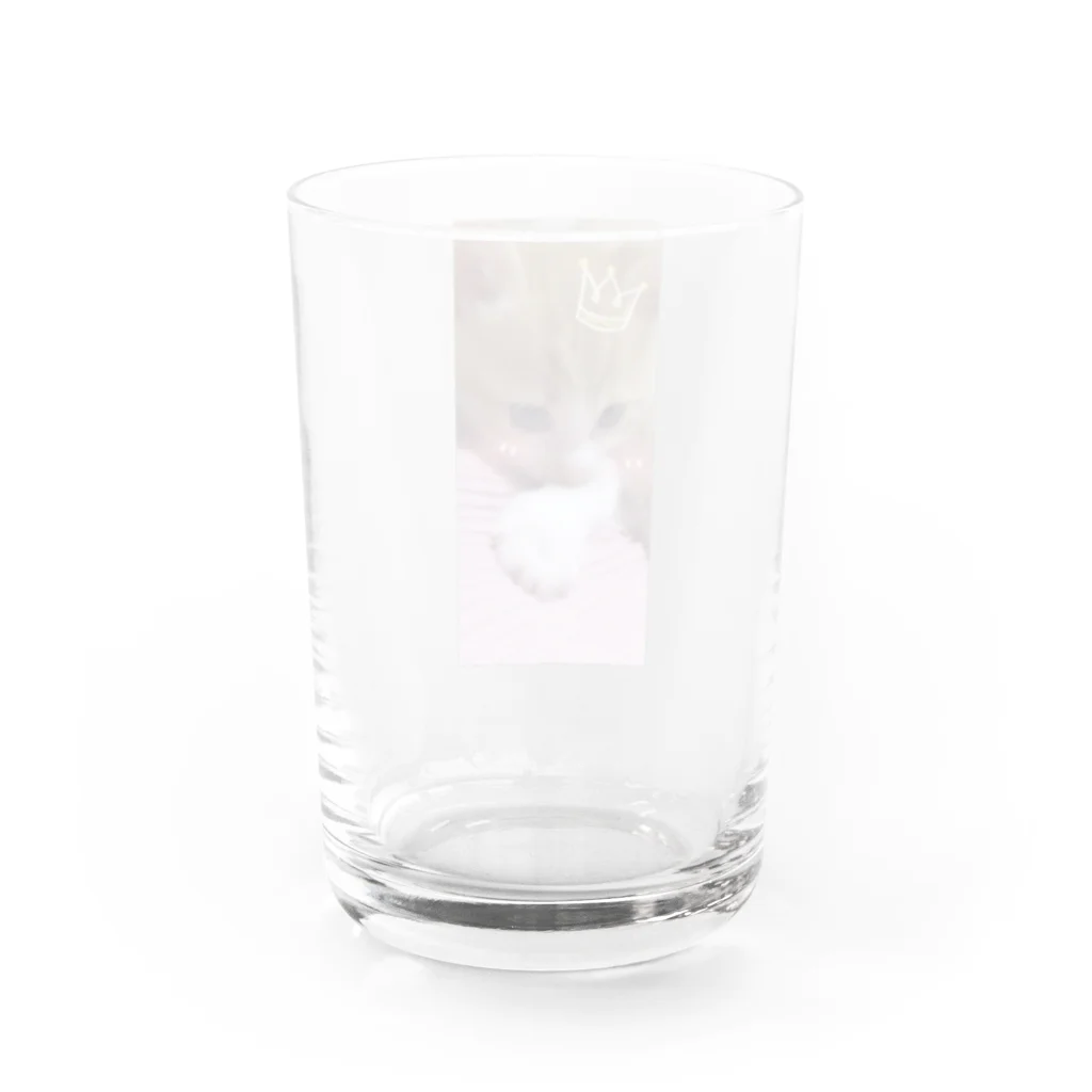 むむ😸🍈(mumu)グッズの茶白猫むむ Water Glass :back