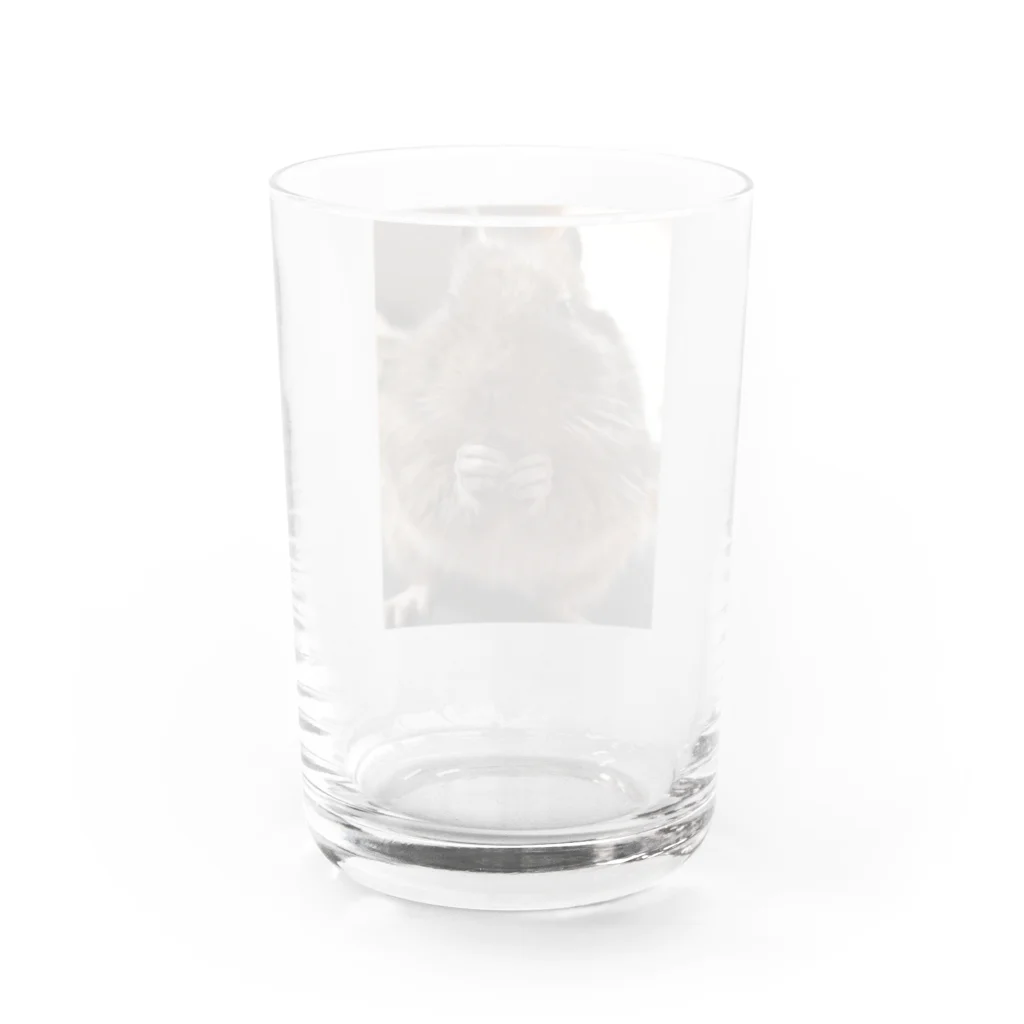 KokkotonakamatatiのOctodon　でーちゃん Water Glass :back