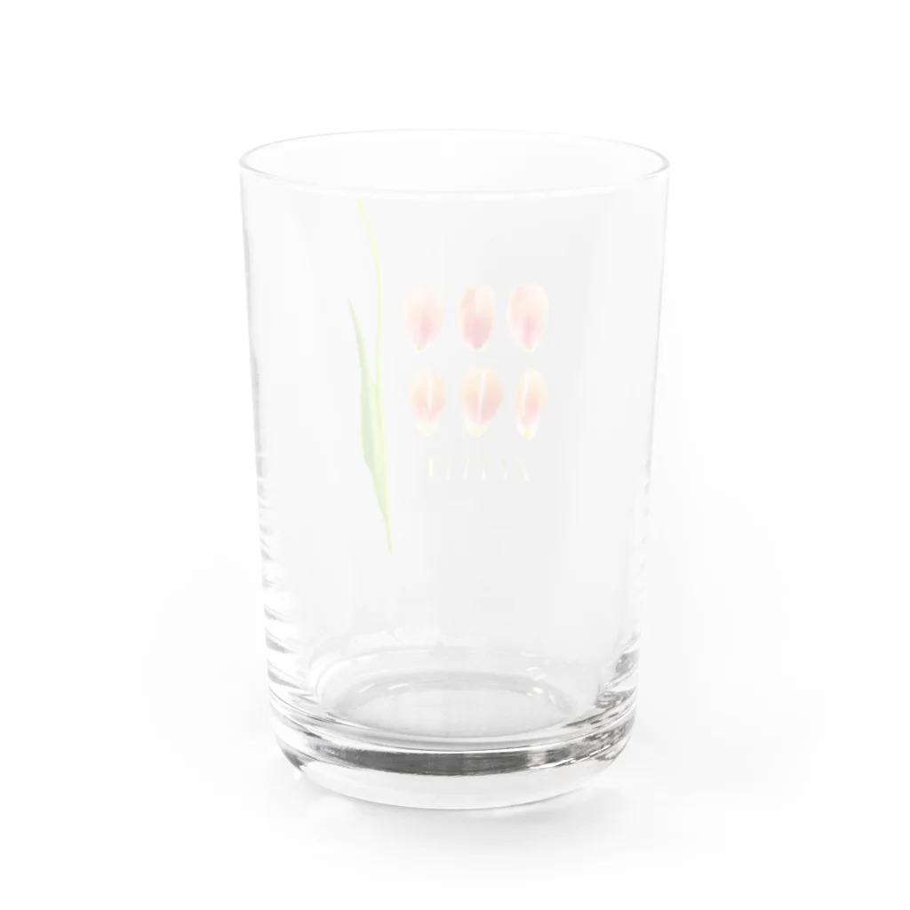 prism cityの花標本 サーモンピンクのチューリップ グラス反対面