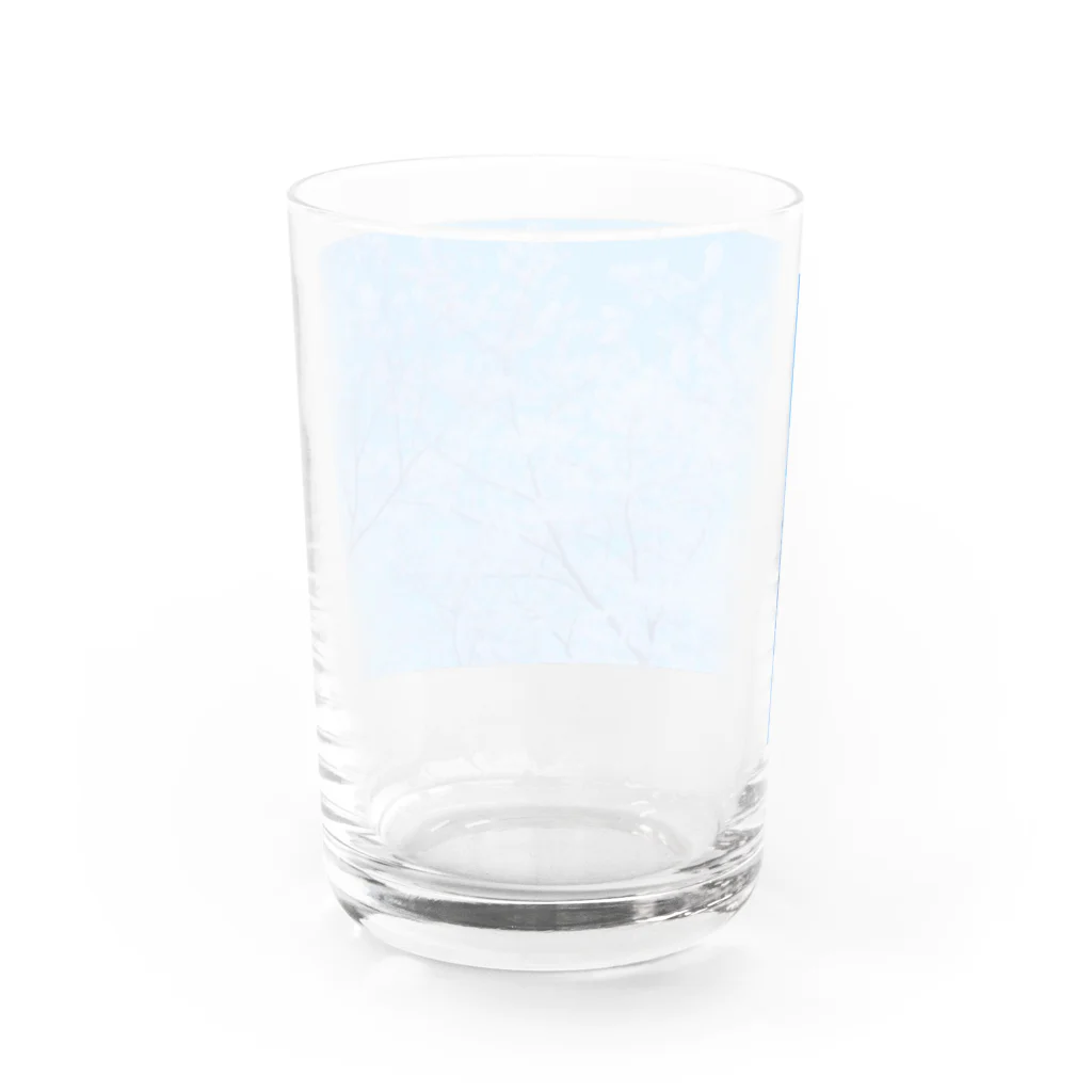 もえなまのあおぞらとさくら Water Glass :back