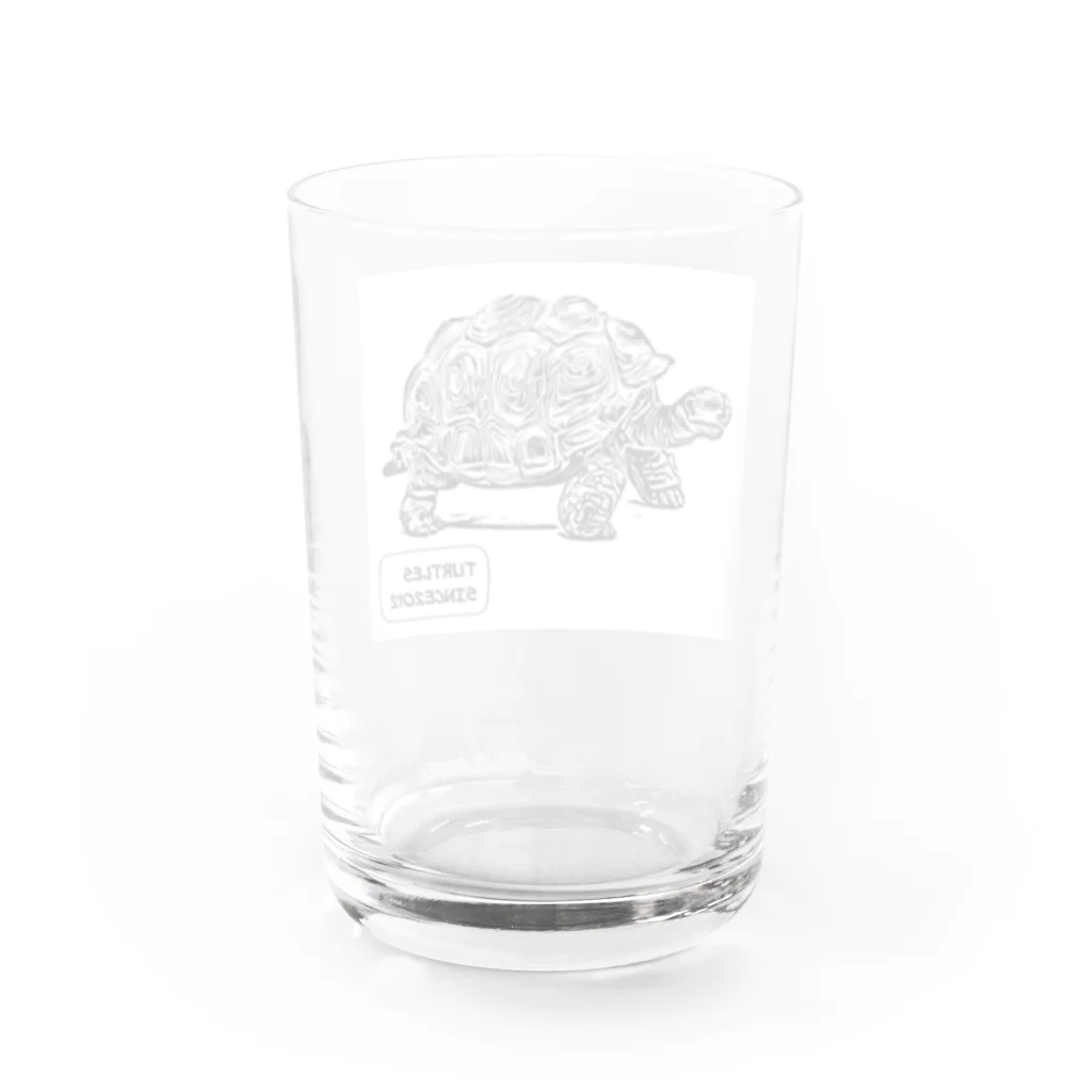 TURTLESのTURTLES Water Glass :back