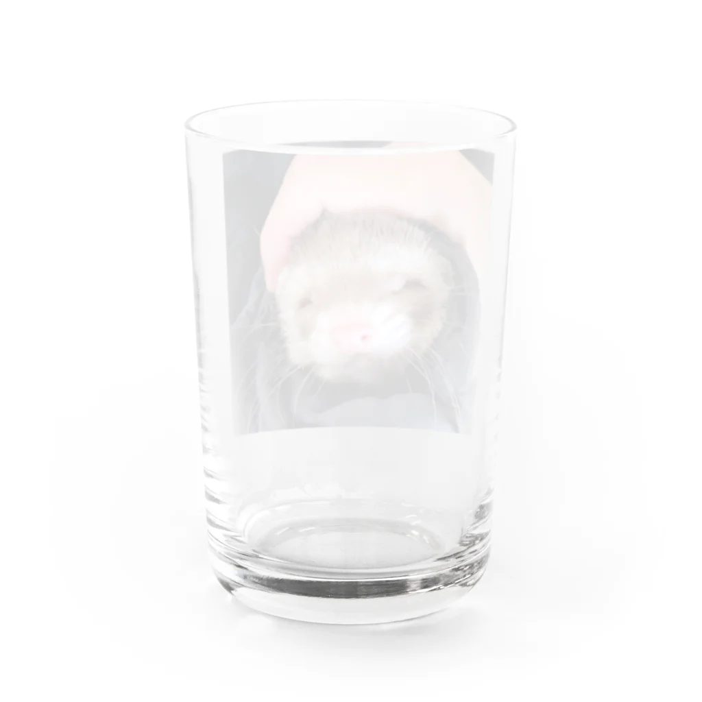 ビッケの部屋のぶさかわビッケ君 Water Glass :back