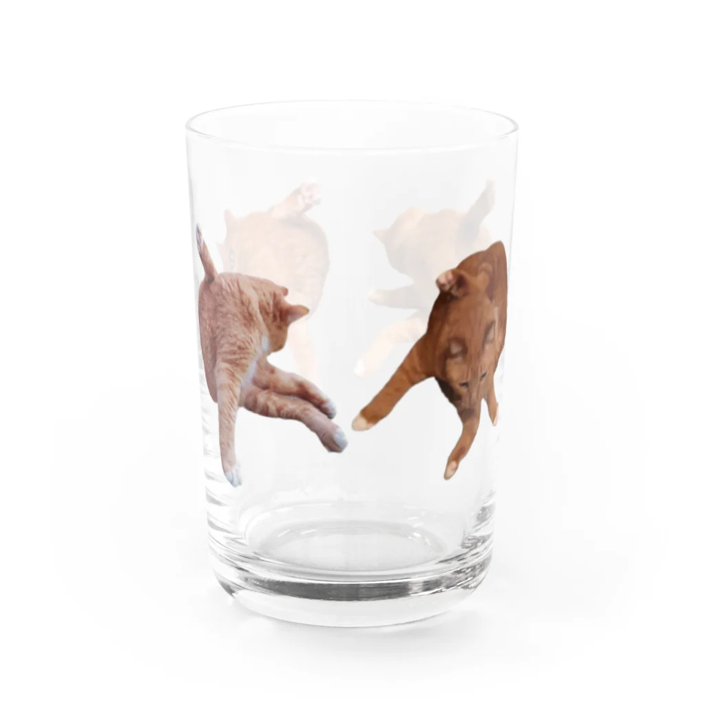 701の尻をなめる猫 Water Glass :back