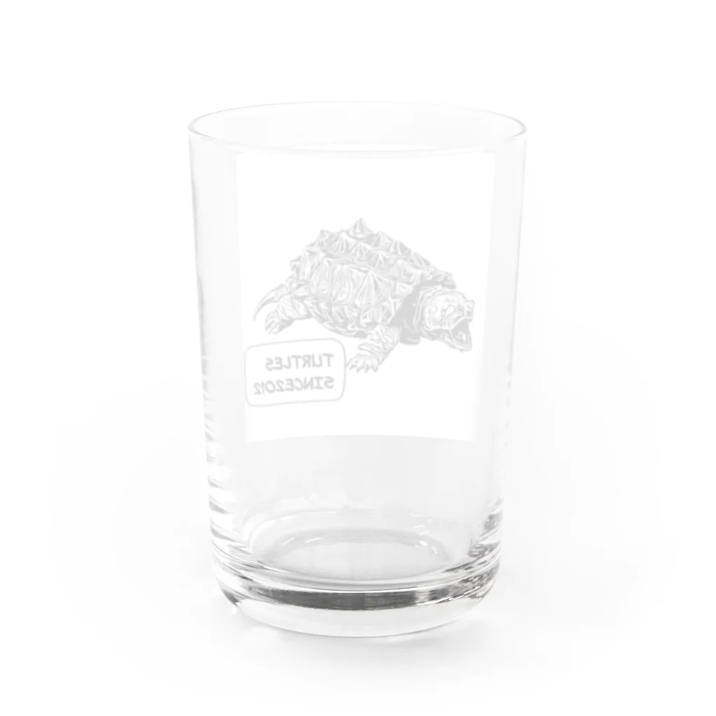 TURTLESのTURTLES Water Glass :back