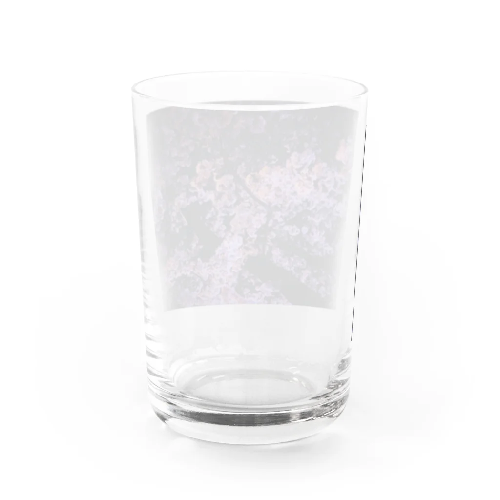 SHOPマニャガハの夜桜満開 Water Glass :back