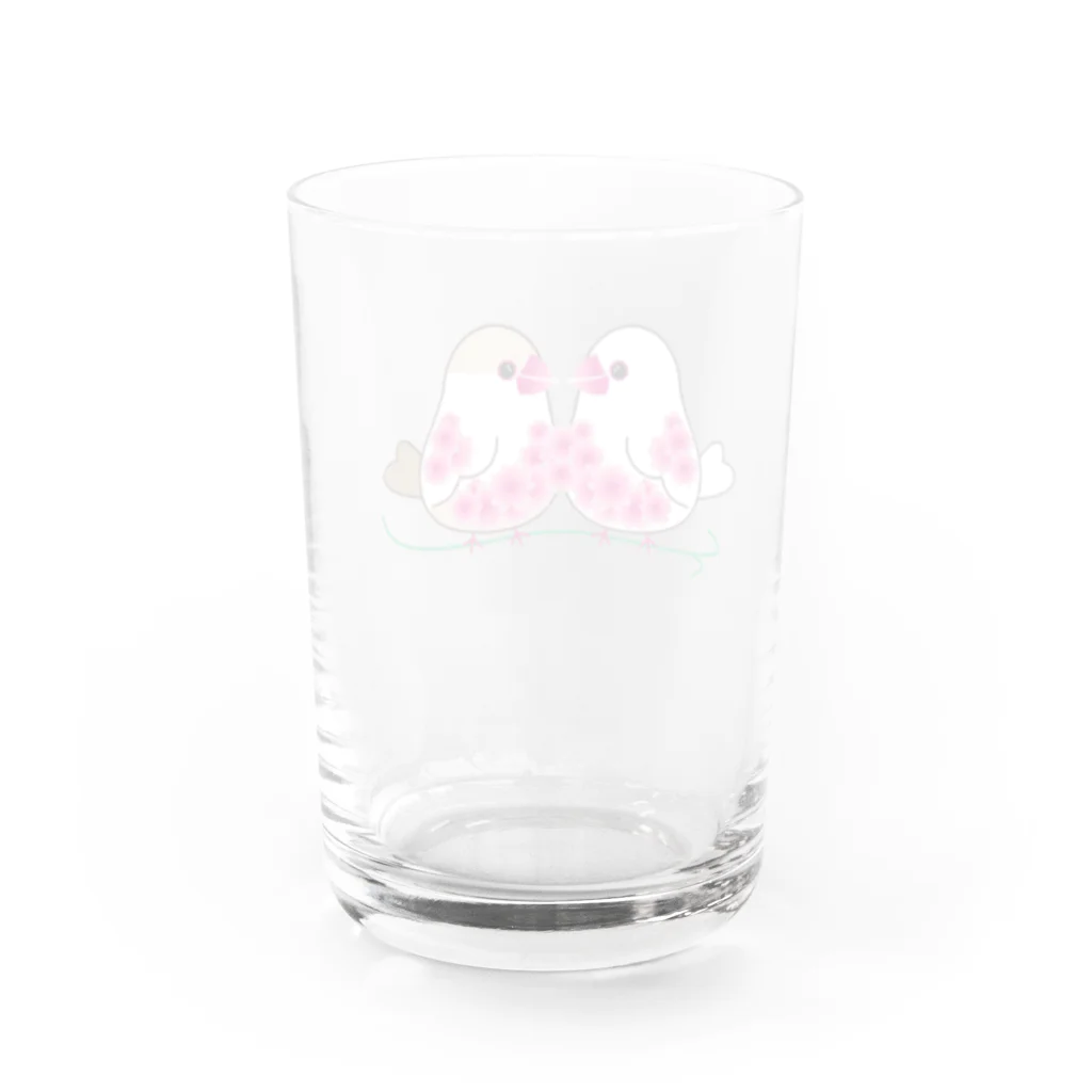 文鳥Familyの仲良し白文鳥とクリーム文鳥01 Water Glass :back