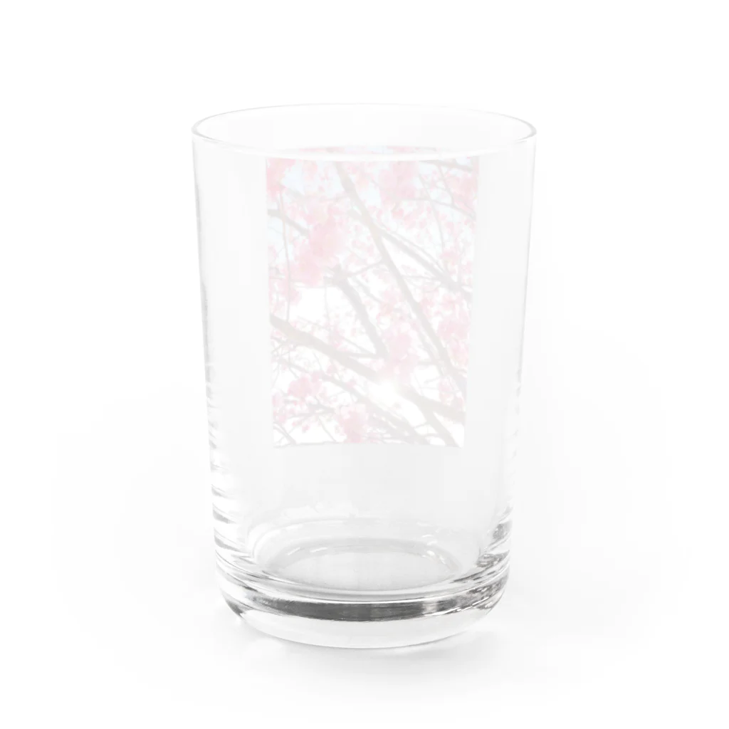 BouquetのSakura Water Glass :back