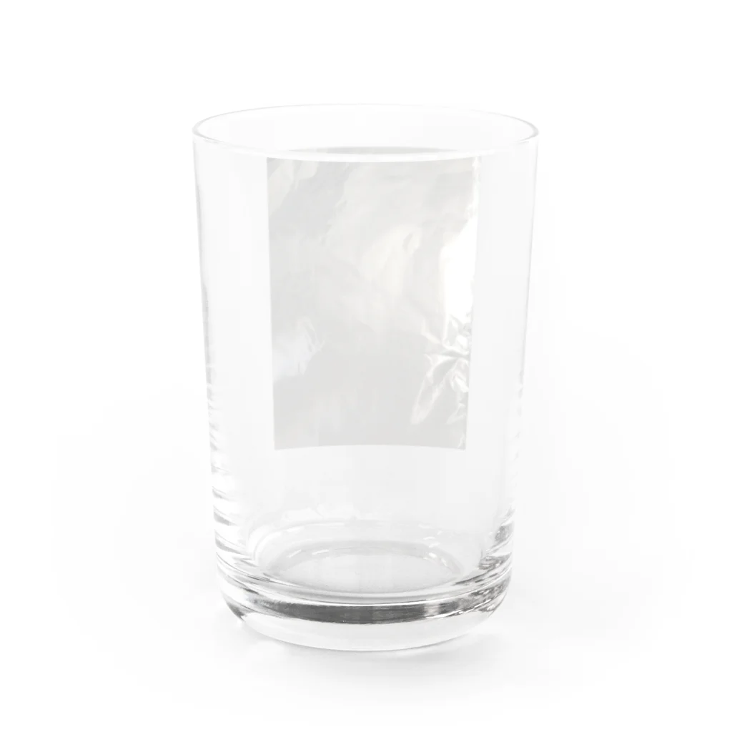 no-nuのただただシルバー Water Glass :back