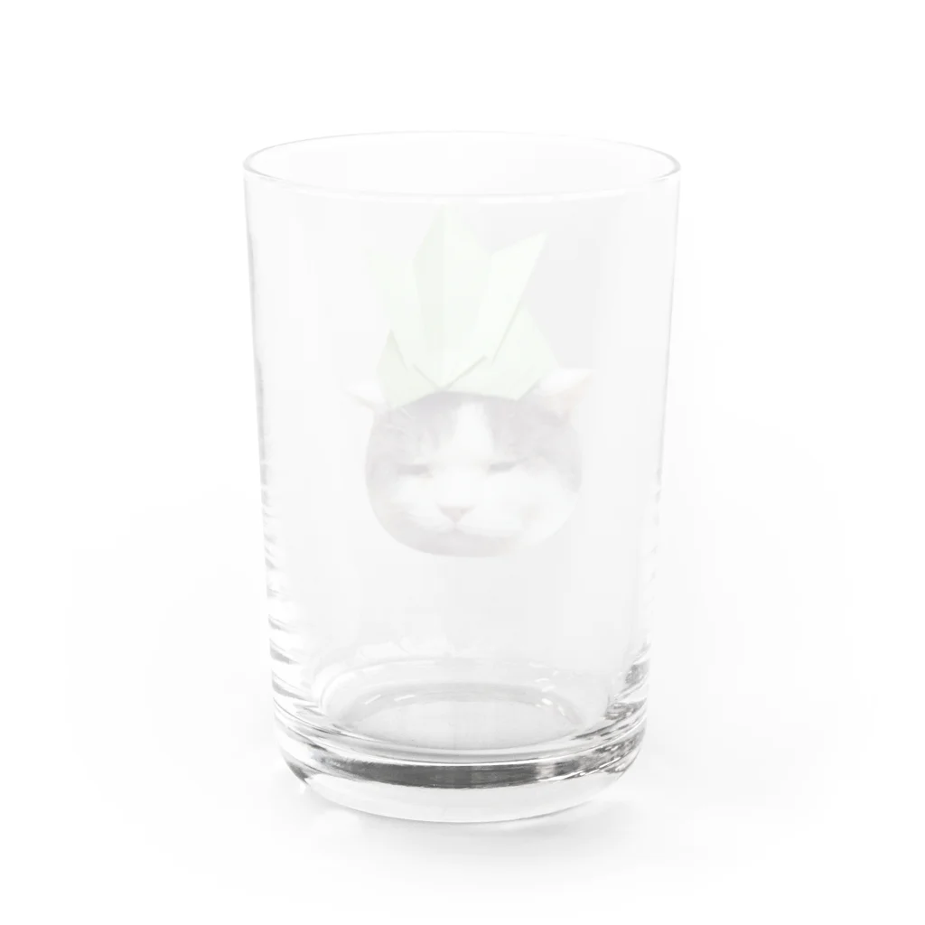 ちよよの憂い猫 Water Glass :back