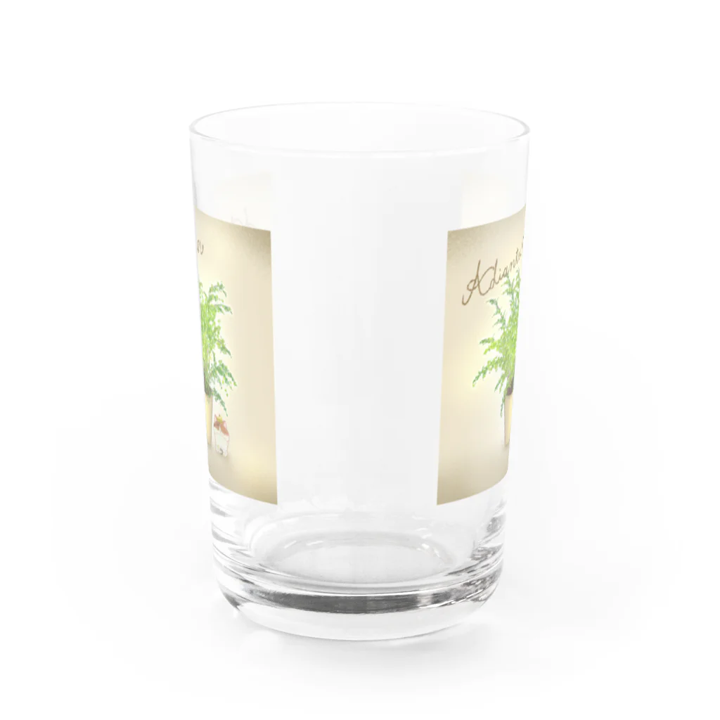 どるちぇ＊うさぎの《ボタニカル》＊アジアンタム×みけ＊誕生日花 Water Glass :back