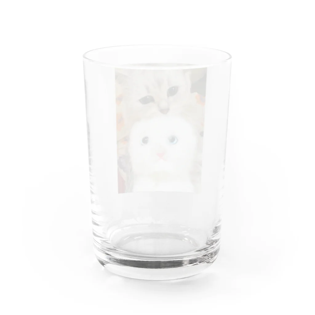 ฅもねฅのらび Water Glass :back