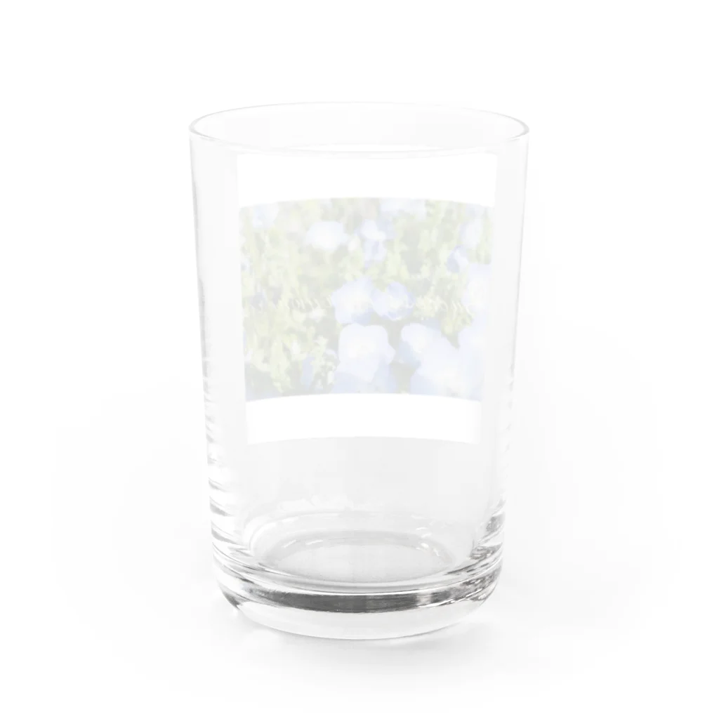 うたかた色の景色がみえるお店のネモフィラと花言葉 Water Glass :back