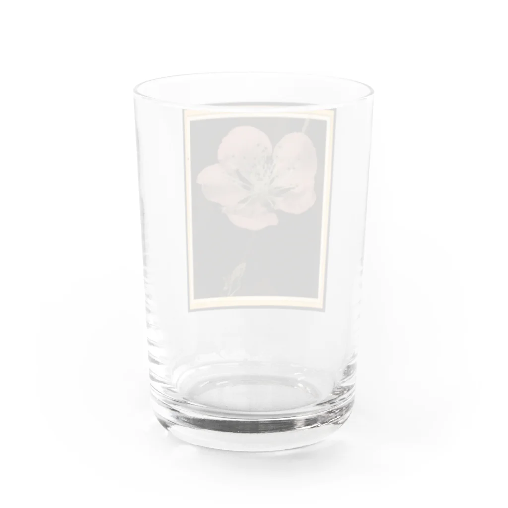 ArtShirtの00330 Water Glass :back