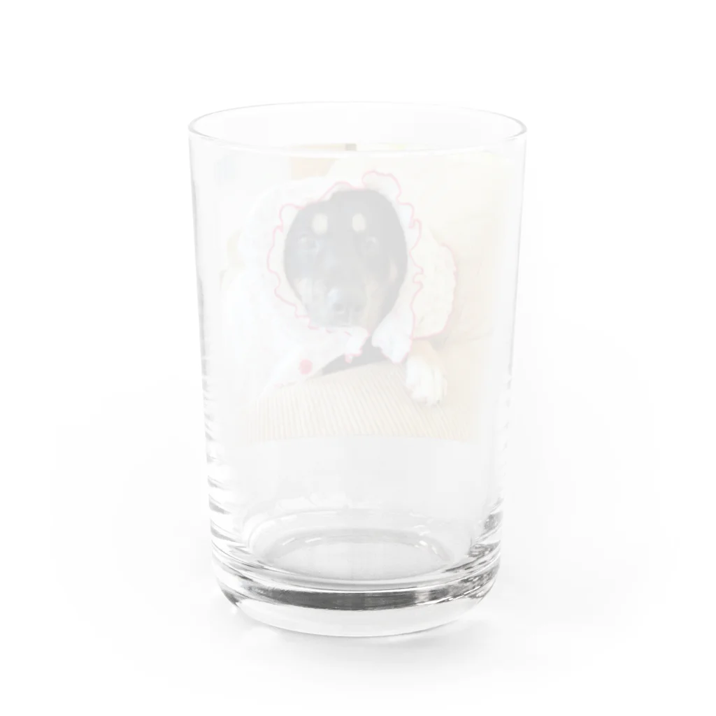 まーやーばふばふのラブリーなあじ君 Water Glass :back