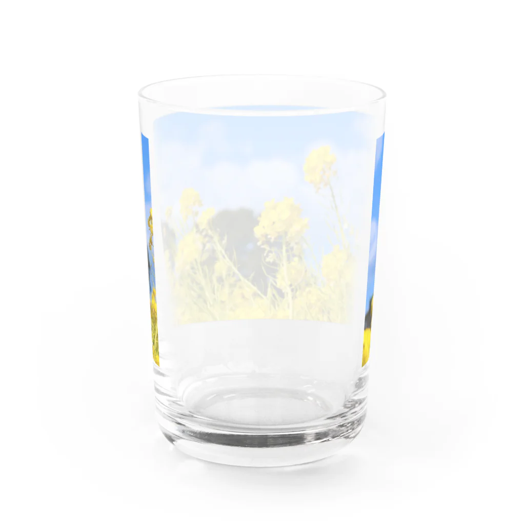 yujisato0514の九州の身近な景色 Water Glass :back