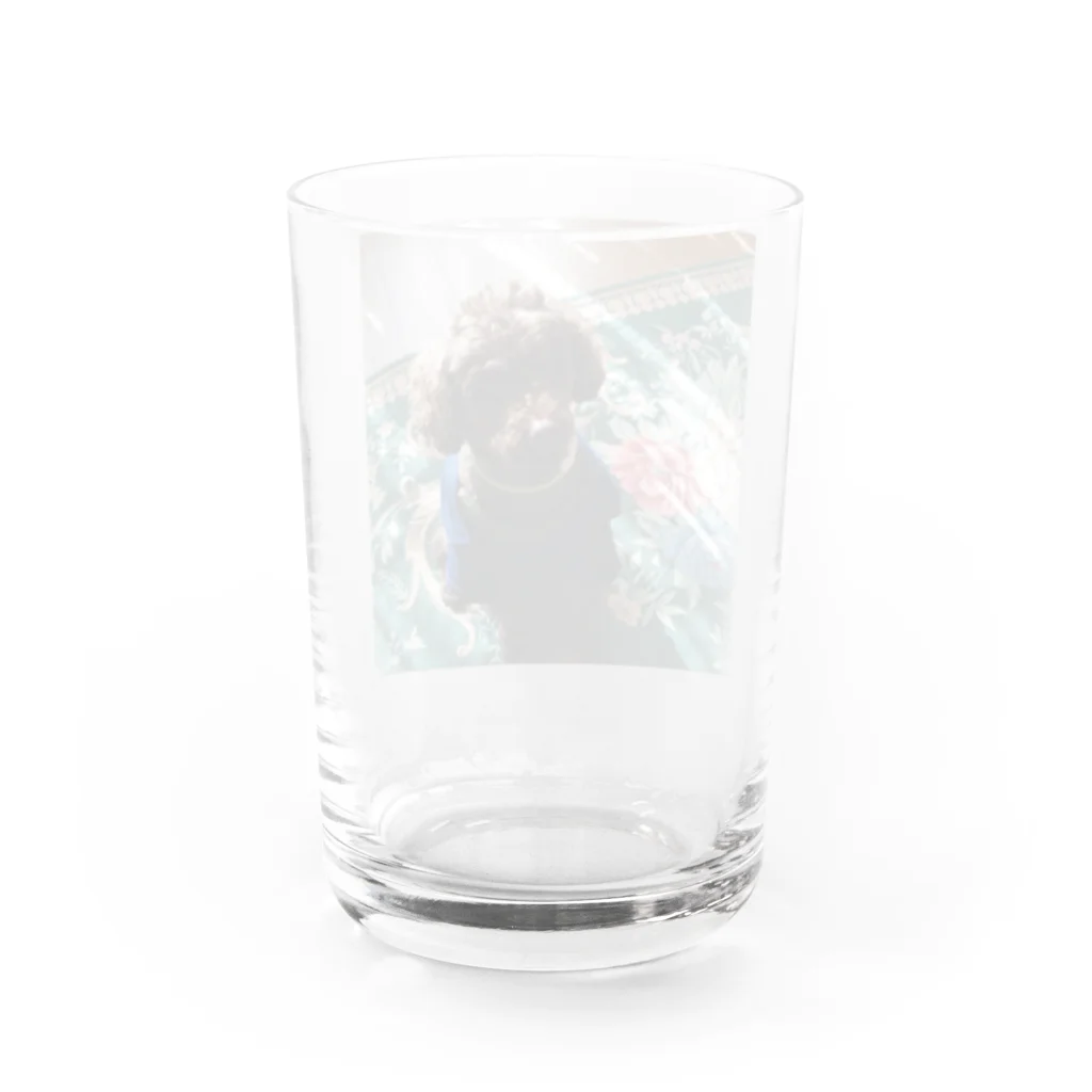 りんそらの愛犬 ムク Water Glass :back