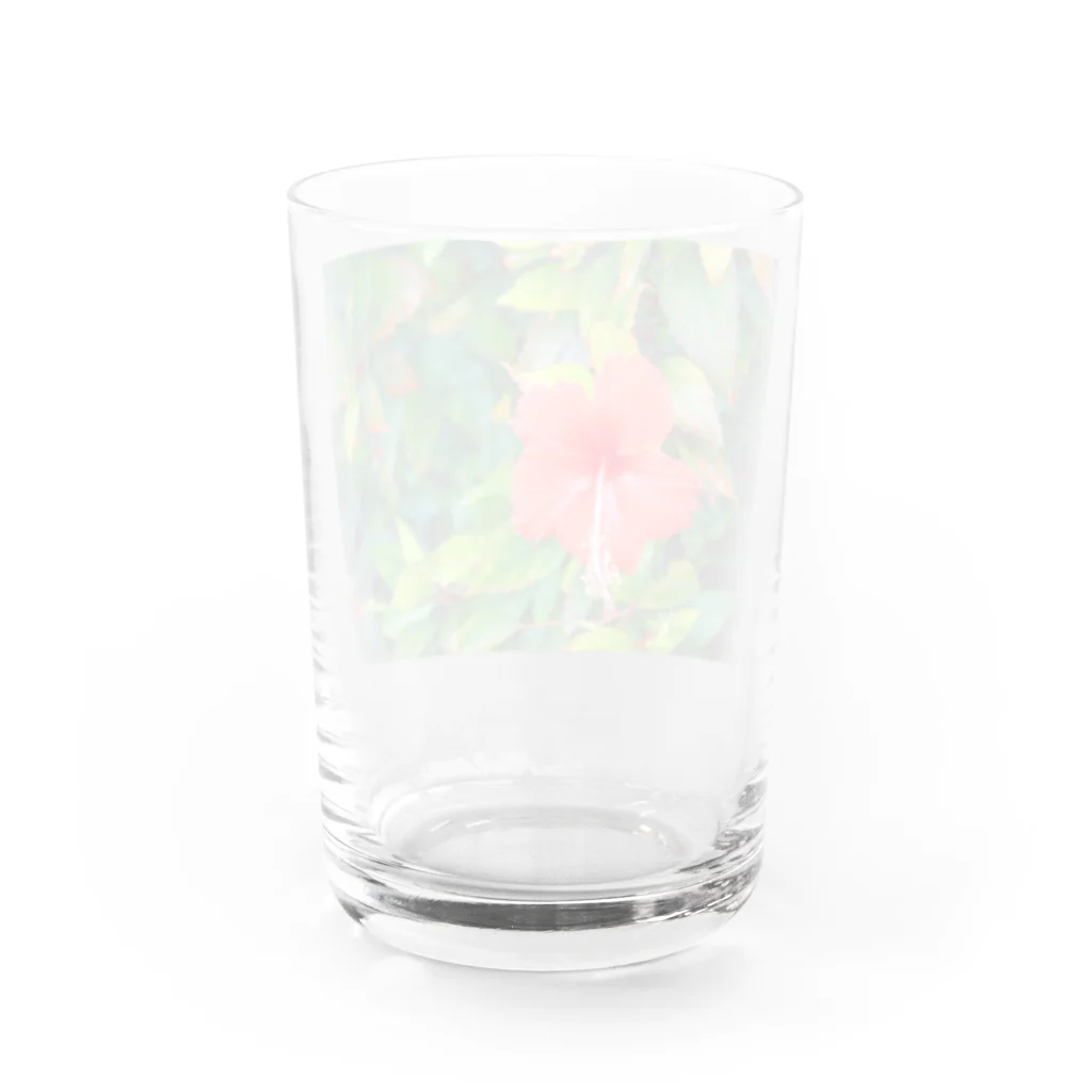 pino子 shopの雨上がりのハイビスカス【風景写真】 Water Glass :back