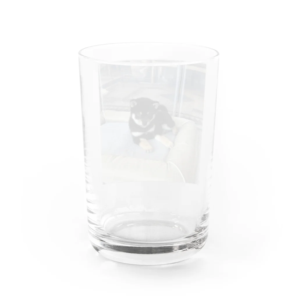 たま子100%のたま子のコップ Water Glass :back