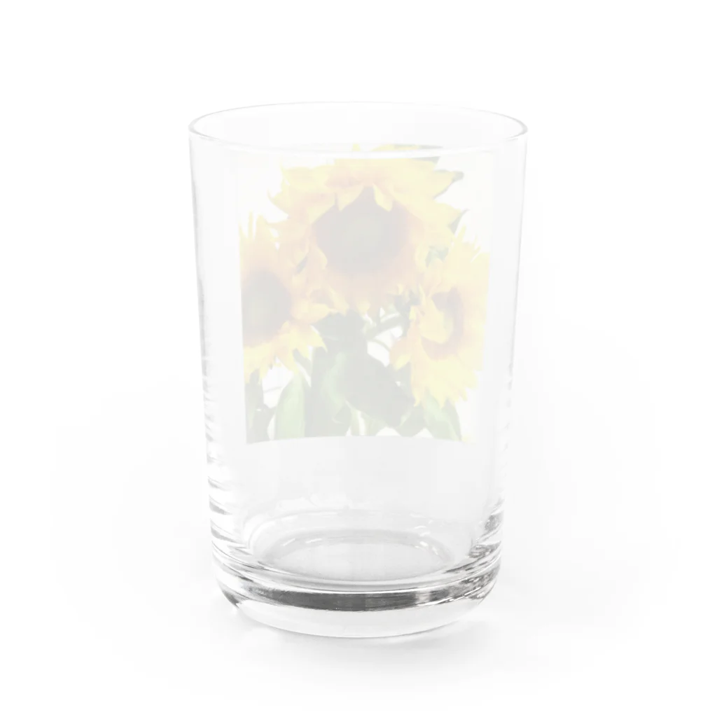 サバの母にもらった向日葵 Water Glass :back