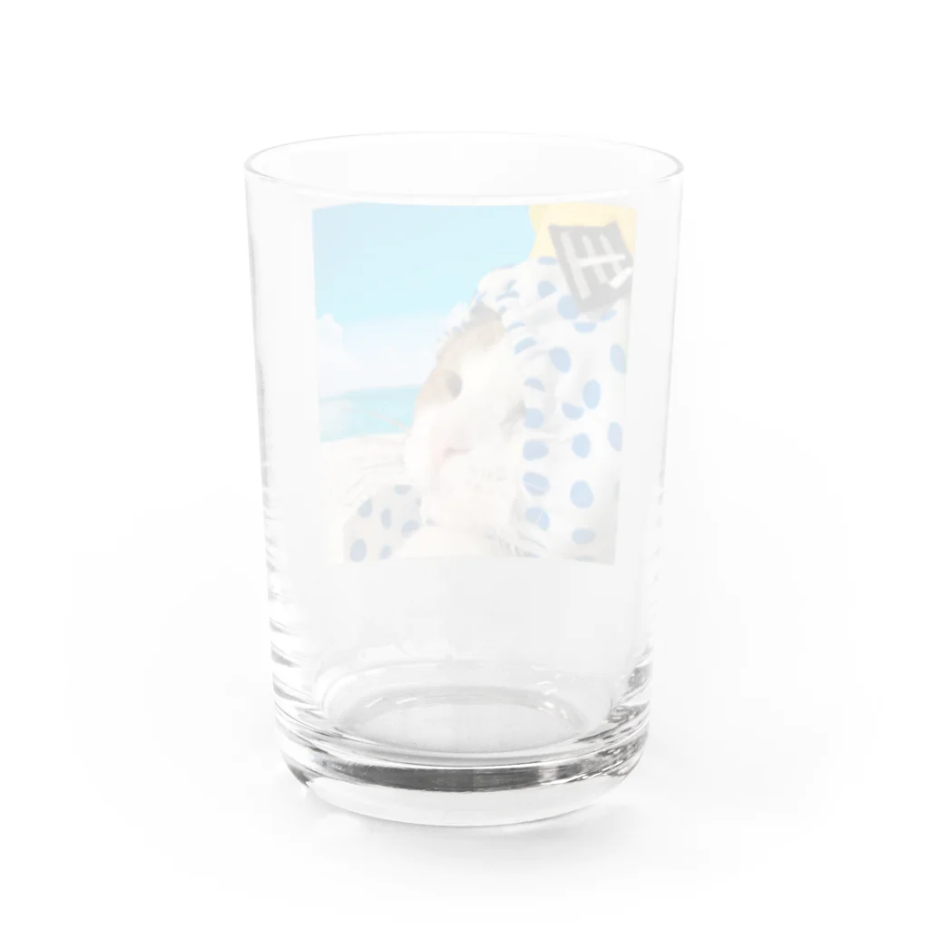 なるときんときんSHOPのウチの店長 Water Glass :back