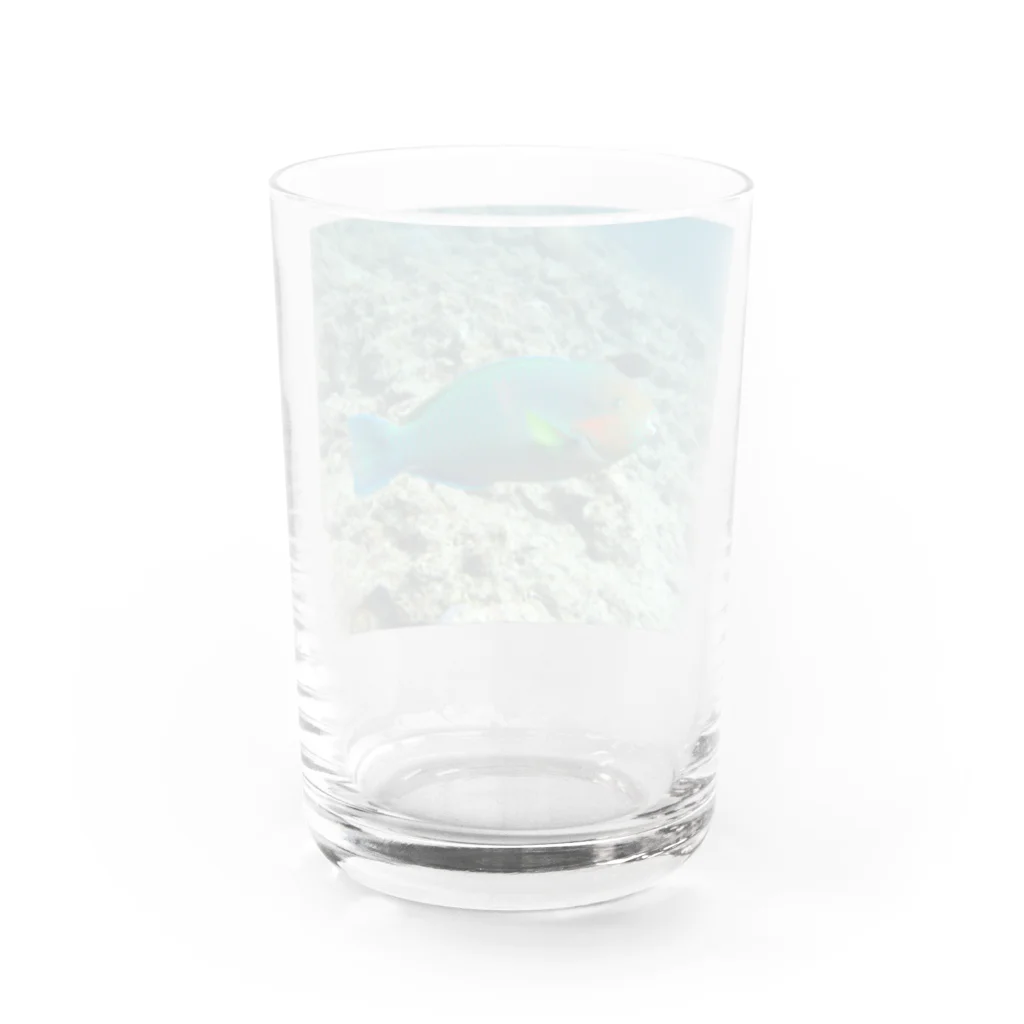 rion02の沖縄　魚T Water Glass :back