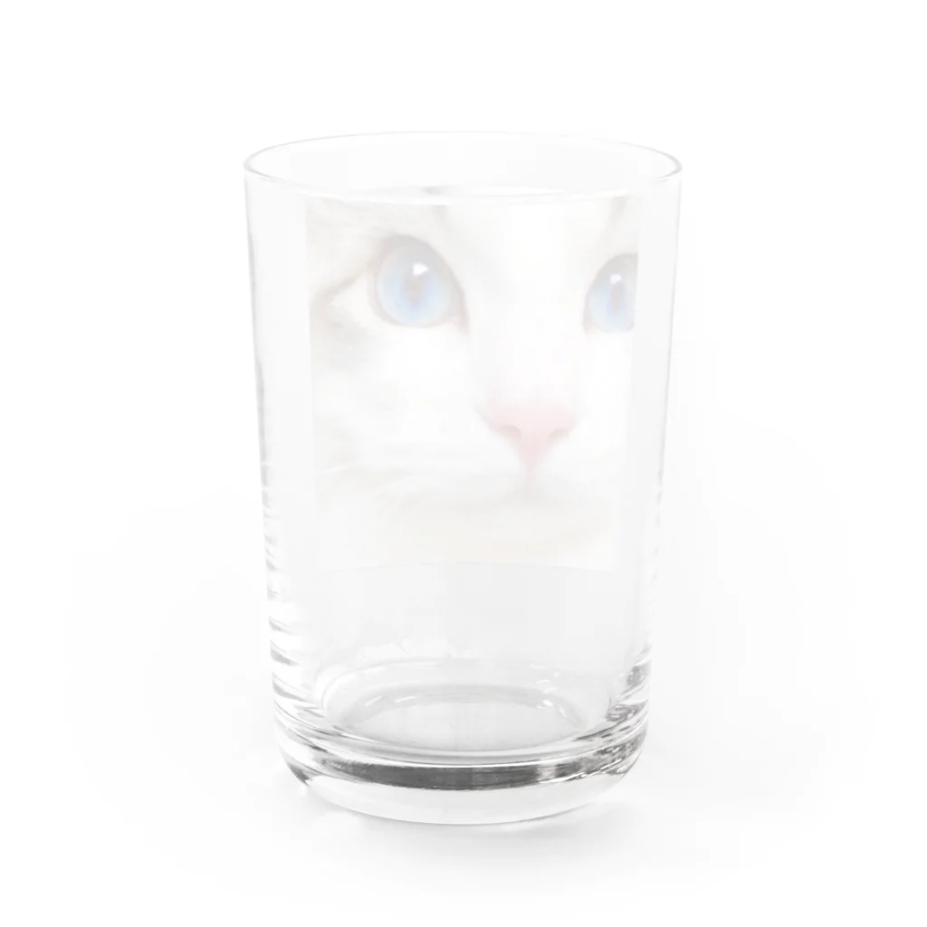 こむぎSHOPのこむぎ👀ブルーアイ Water Glass :back