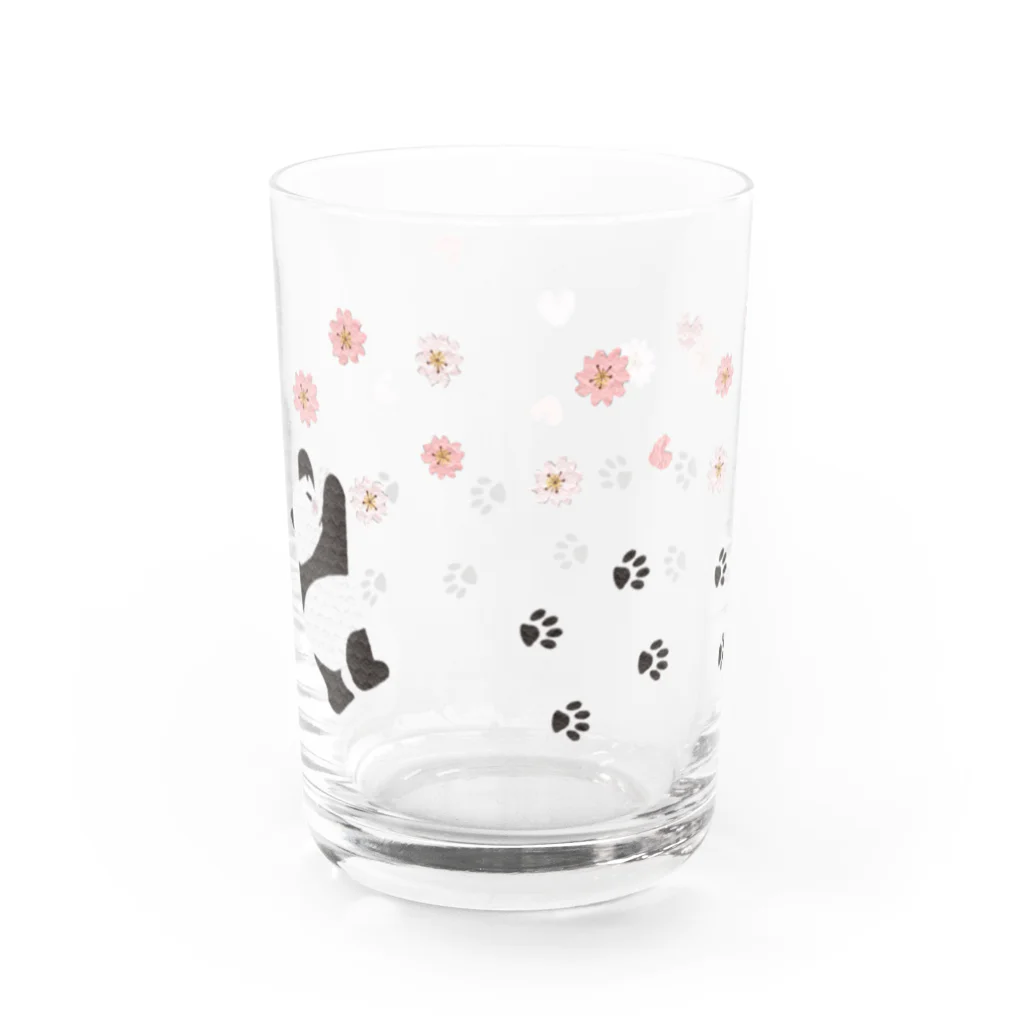 田中ザビエル世界のどうぶつの桜咲くパンダ Water Glass :back