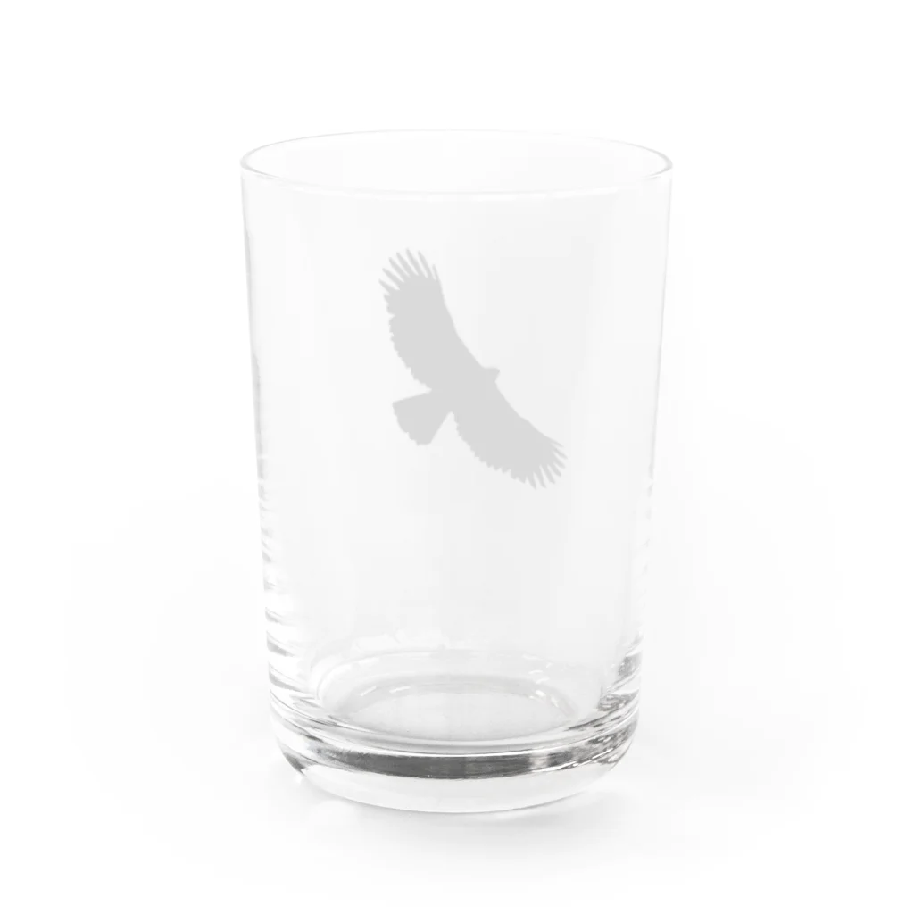 ぼちぼちいきもの屋のクマタカ  Water Glass :back