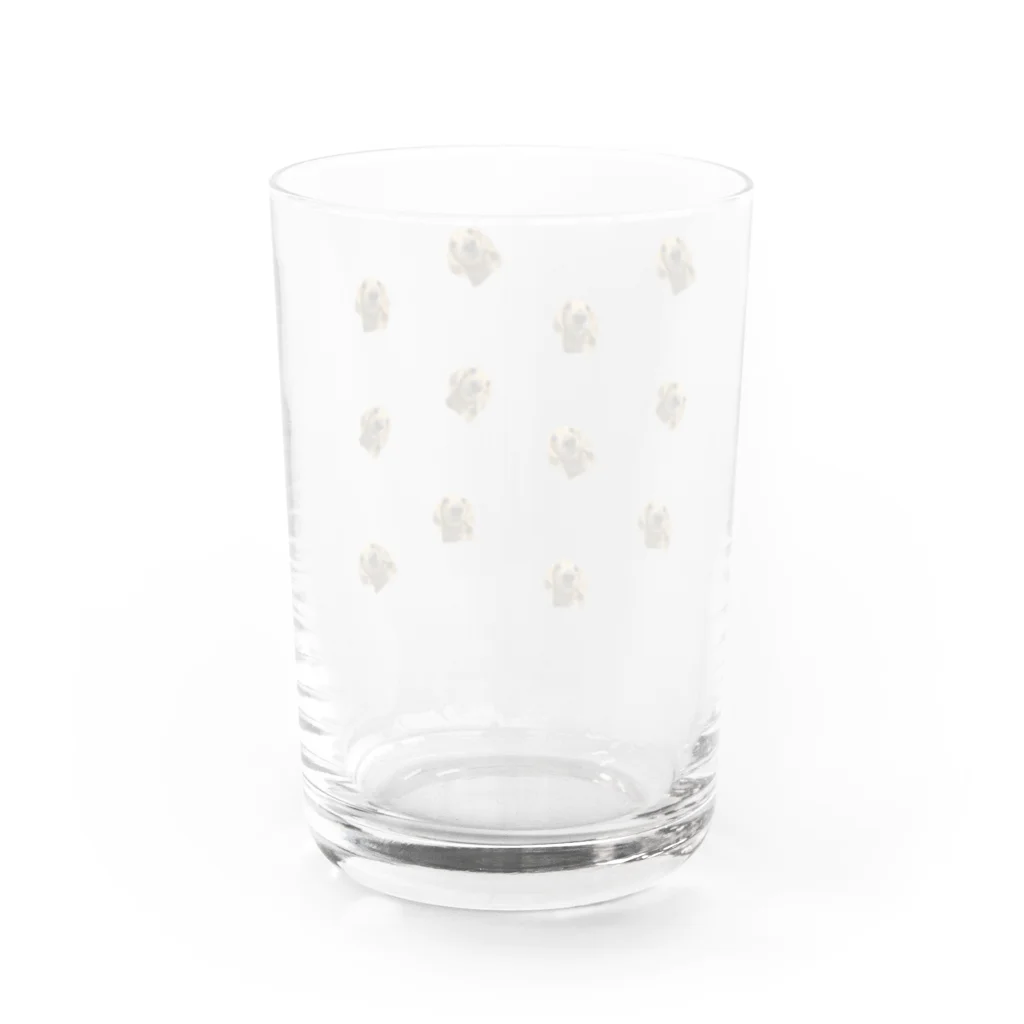 サーフショップのちりちりばめ透け Water Glass :back