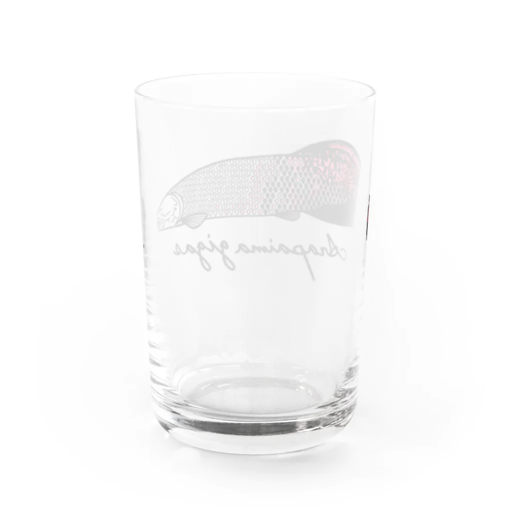 Alba spinaのピラルク Water Glass :back