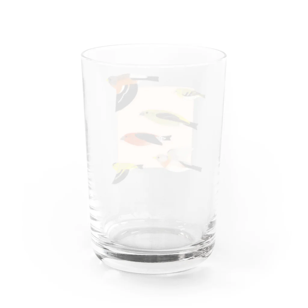 piro piro piccoloのFLYING ATORI  Water Glass :back