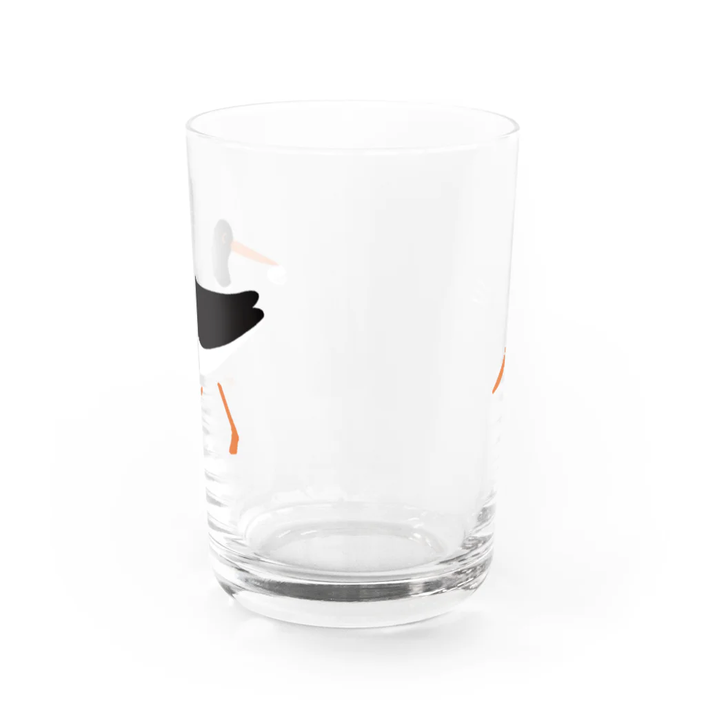 piro piro piccoloのミヤコドリとにんじん Water Glass :back