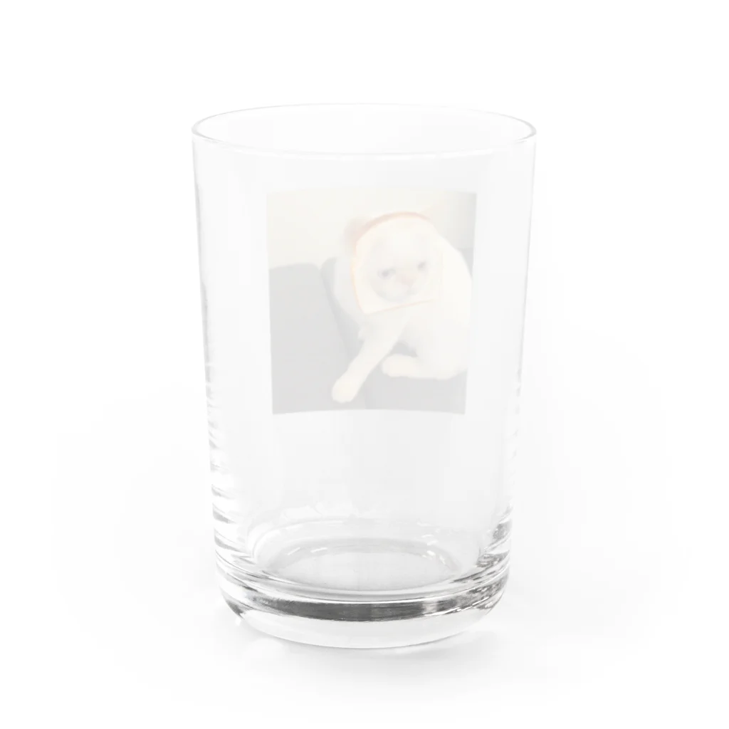 Mamey的甜蜜小店の食パンニャン Water Glass :back