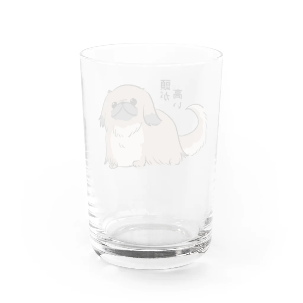 ペキニーズとかわんことか。の我が道を行くペキニーズ（フォーン） Water Glass :back