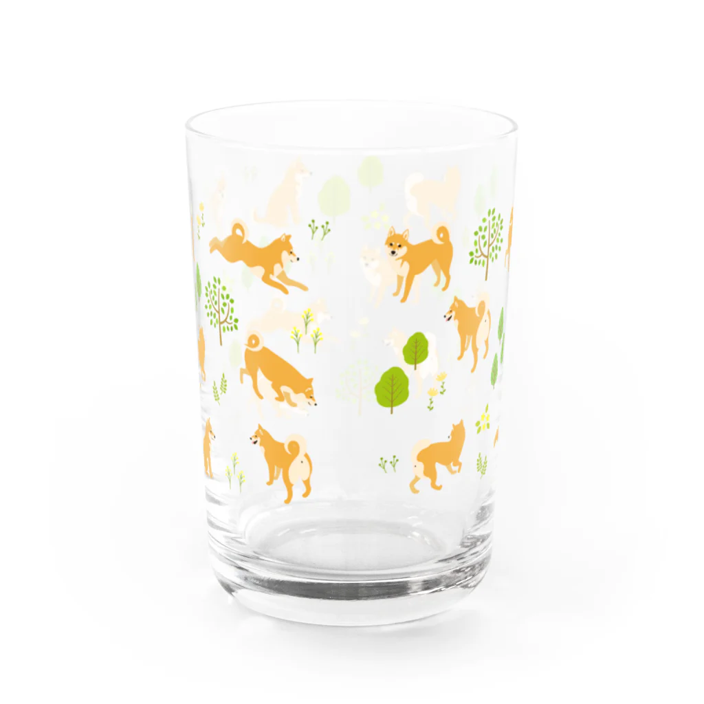 NAZの柴犬さんぽ Water Glass :back