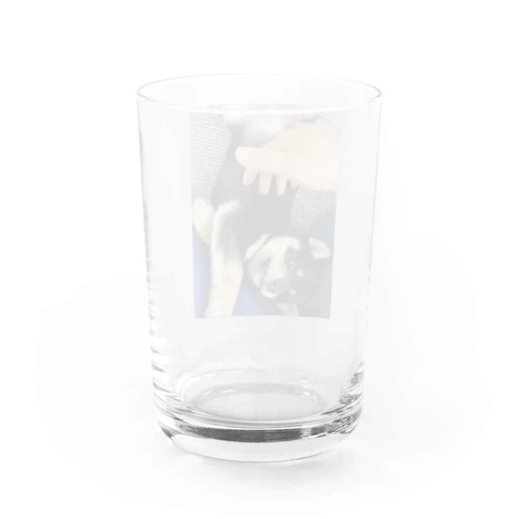 たま子100%のくつろぎたま子のコップ Water Glass :back