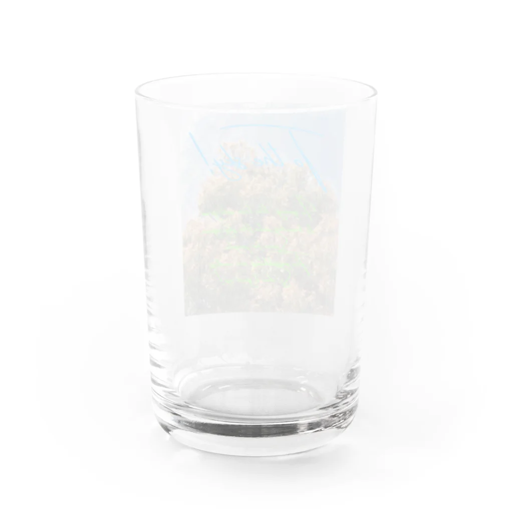Callion’s daydreamの空へ向かって！ Water Glass :back