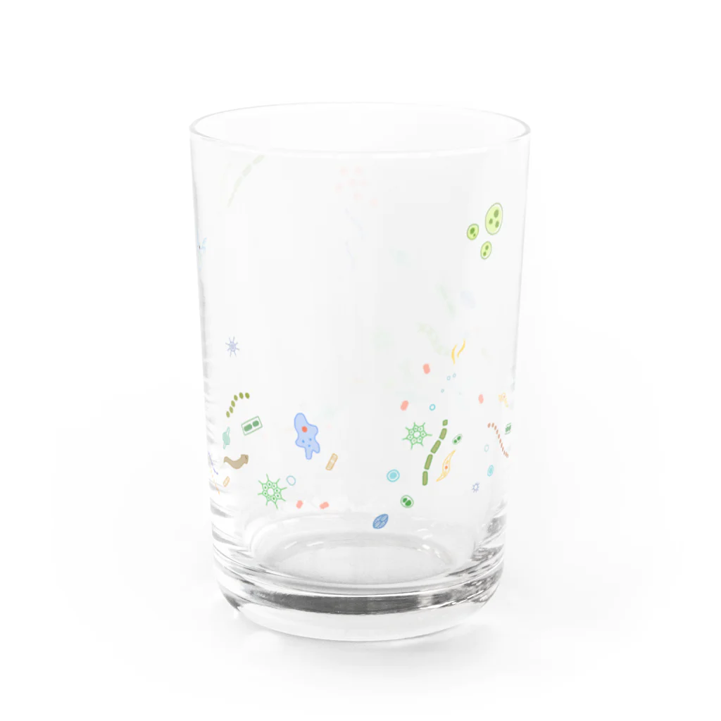 まめうにのプランクトンを飲み干す Water Glass :back