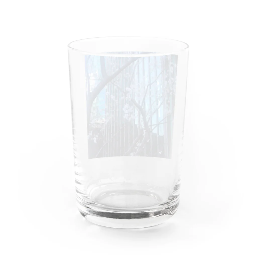 ふかみどりのお家の想いを馳せる春 Water Glass :back