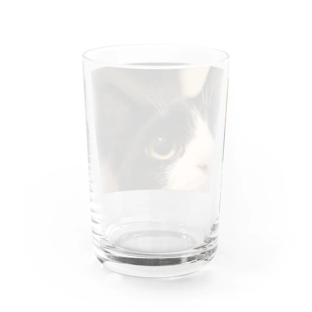 ねこの下僕のぶうちゃん Water Glass :back