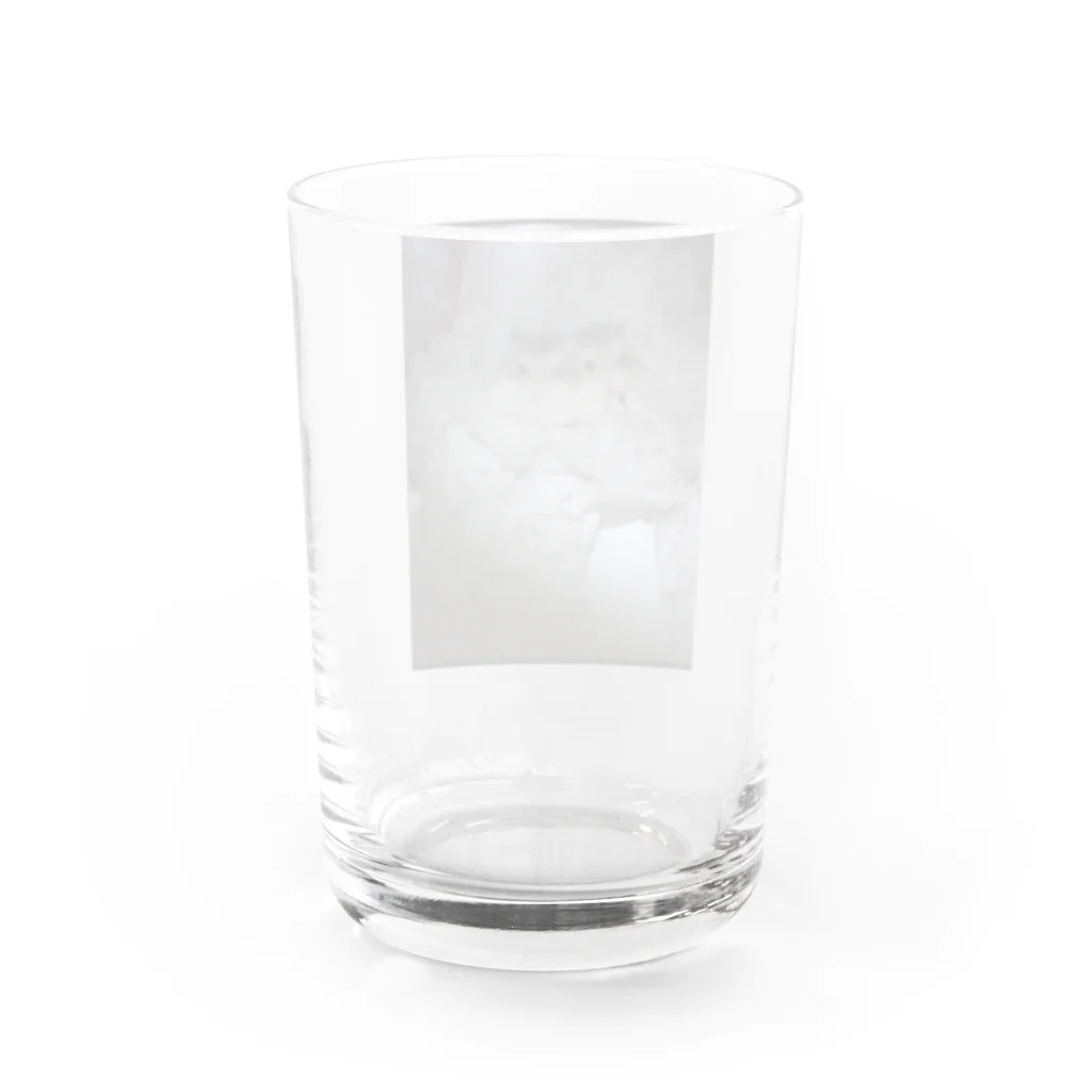 SUMOMOのハムハムハム太郎 Water Glass :back